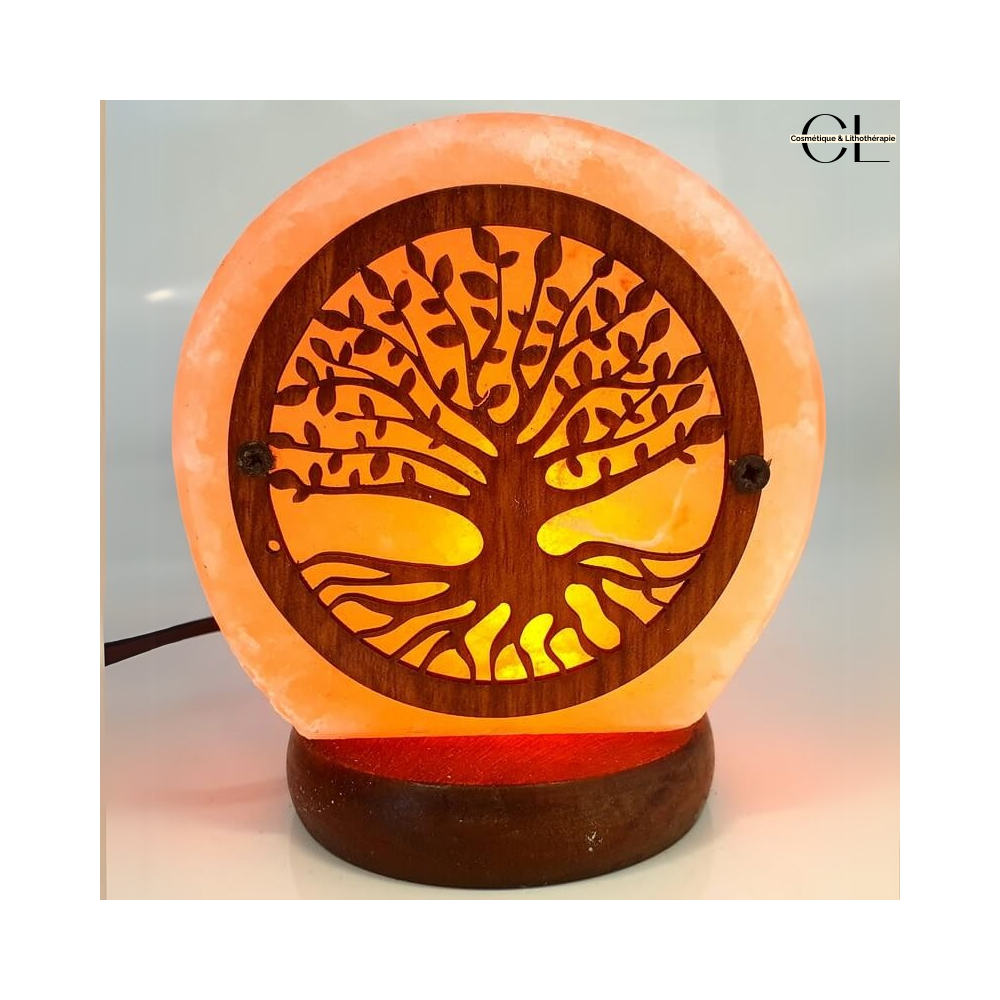Lampe de Sel USB Arbre de Vie 1KG