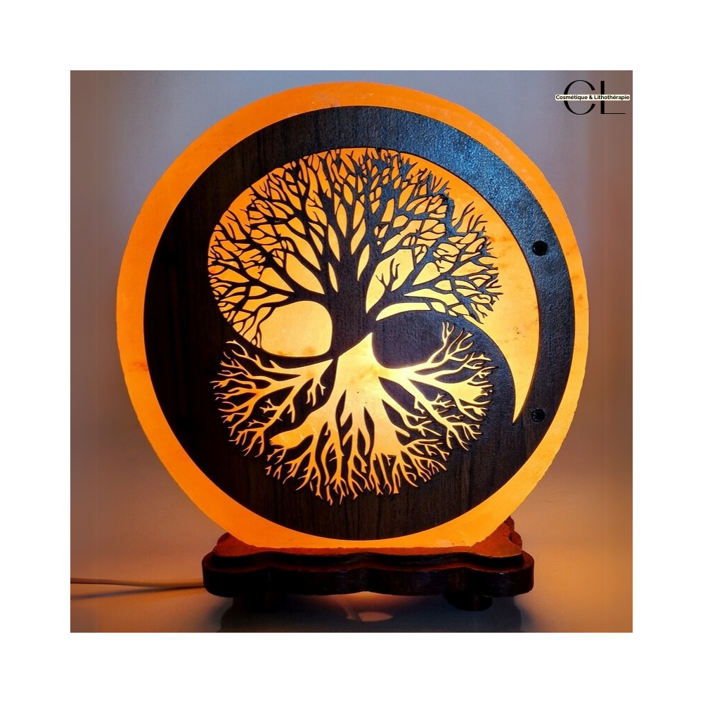 Lampe de sel d'Himalaya Arbre de Vie Yin-Yang 5KG