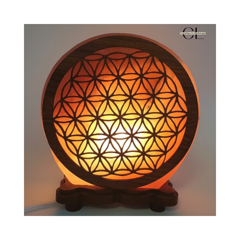 Lampe de sel d'Himalaya Fleur de vie 5KG